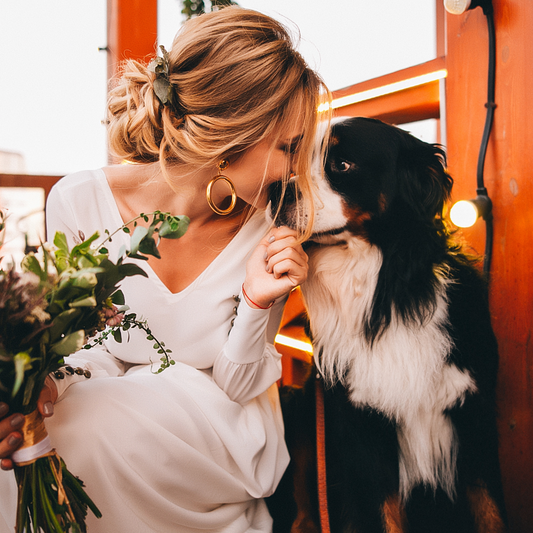 A bride bending down to cuddle her dog at a wedding ceremony